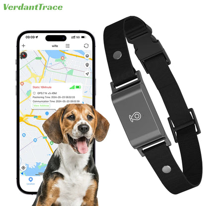 Collar Pet GPS 4G