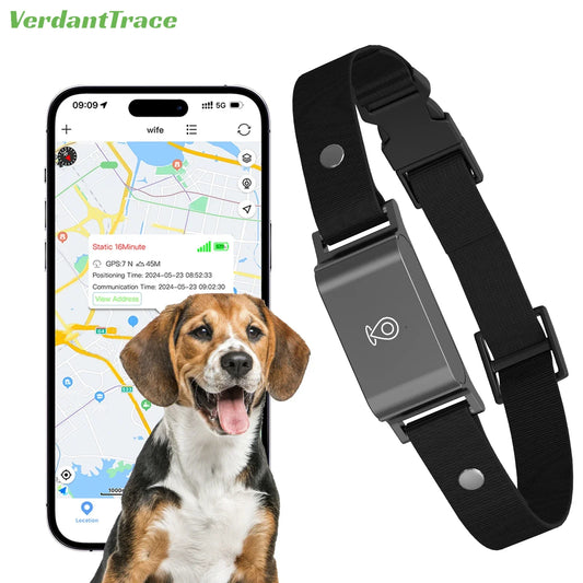 Collar Pet GPS