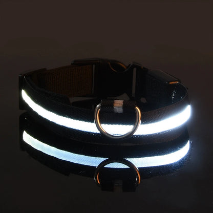Collar LED Night Safety