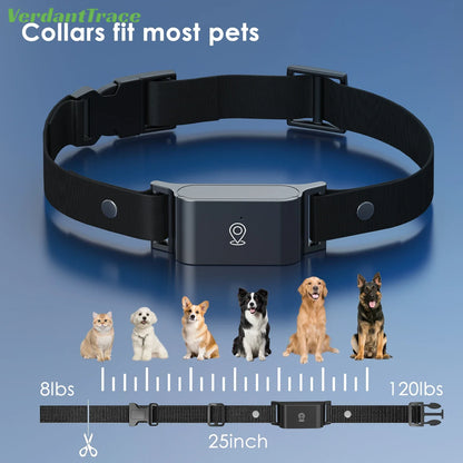 Collar Pet GPS 4G