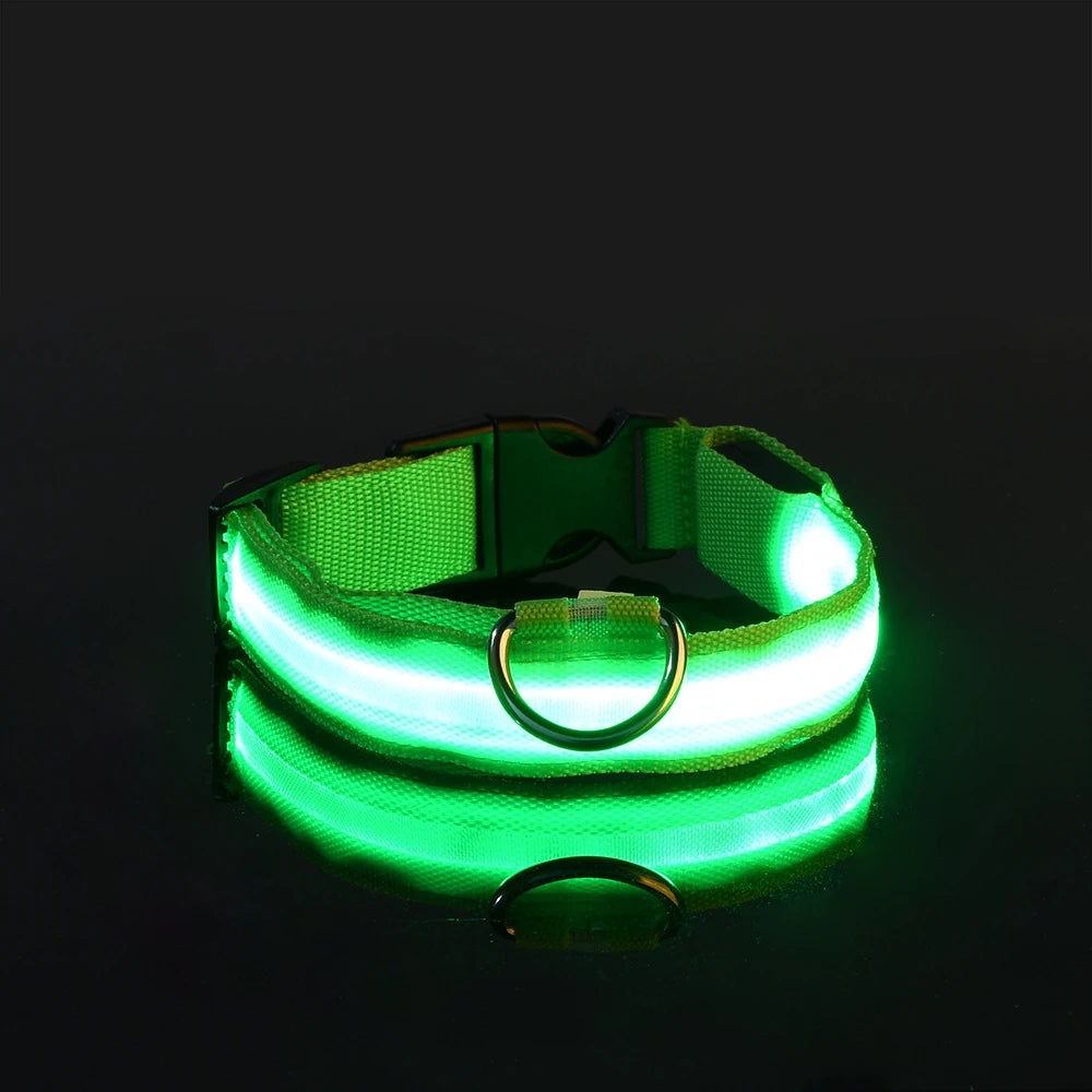Collar LED Night Safety