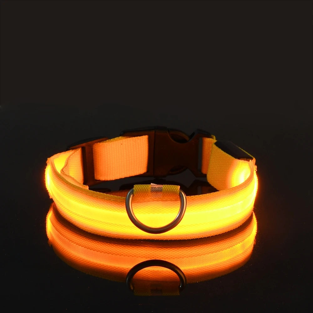 Collar LED Night Safety