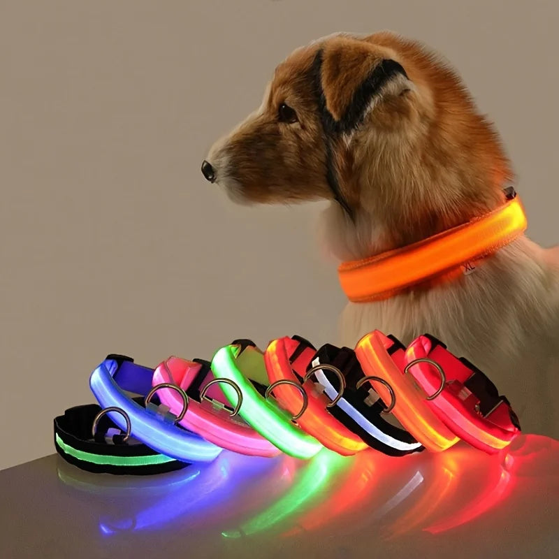 Collar LED Night Safety