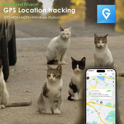 Collar Pet GPS 4G