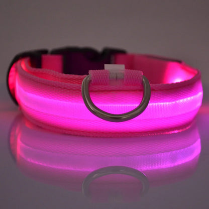 Collar LED Night Safety