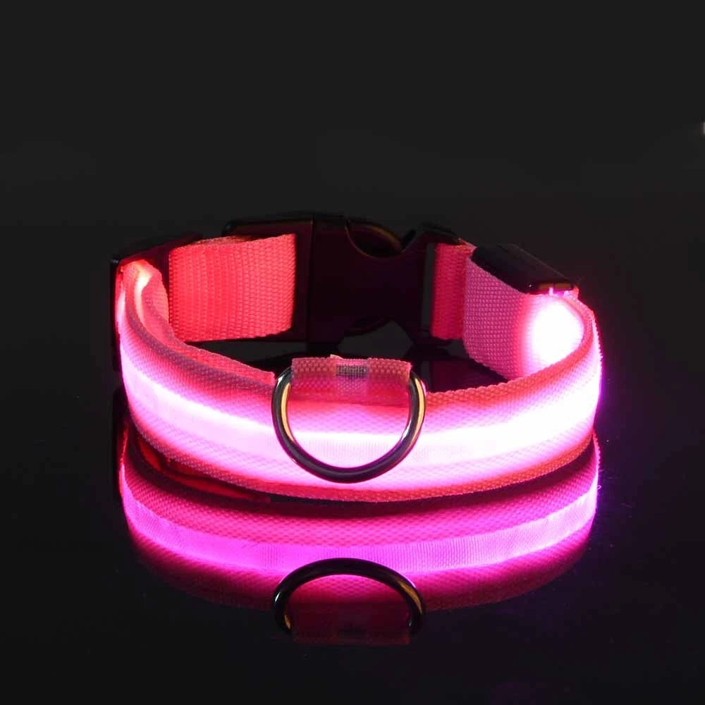 Collar LED Night Safety