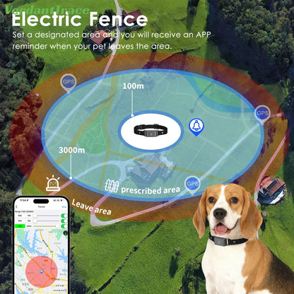 Collar Pet GPS 4G