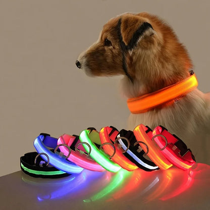 Collar LED para Perros