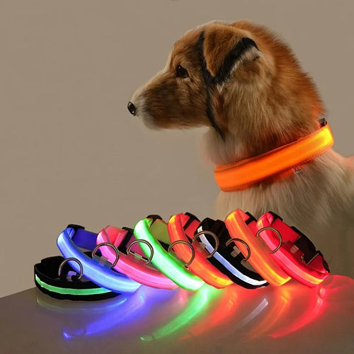 Collar LED para Perros